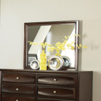 Coaster Furniture 203484 Jaxson Rectangular Mirror Cappuccino